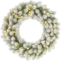 Black Box Kerstkrans Nagoya Besneeuwd Met 30 Lampjes Warm Wit D 60 H 12 Cm