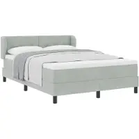 vidaXL Boxspring bed met hoofdeinde Lichtgrijs 160 x 200 cm Fluweel