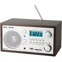 BLOW Radio AM (FM, AM, Bluetooth), Radio, Bruin