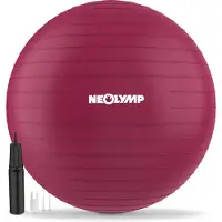 NEOLYMP Ergonomische gymbal Anti-Burst 300 kg zitbal thuiskantoor S