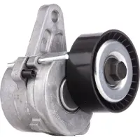RIDEX 310T0293 Spanrol, poly V-riem