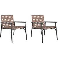 vidaXL Tuinstoel 2 st Bruin poly rattan