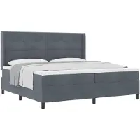vidaXL Boxspring bed met hoofdeinde Donkergrijs 200 x 200 cm Fluweel
