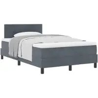 vidaXL Boxspringbed met hoofdeinde, donkergrijs, 120 x 200 cm, fluweel