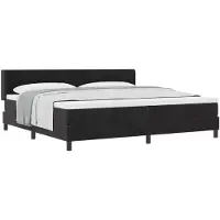 vidaXL Boxspring bed met hoofdeinde Zwart 200 x 200 cm Fluweel