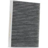 RIDEX 424I0017 Interieurfilter