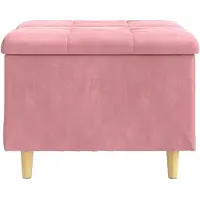vidaXL Ottoman met opbergruimte, roze, 60 x 60 x 45 cm, fluweel