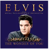 Import The Wonder Of You