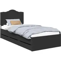 vidaXL Bedframe met lade met opslag Zwart 100 x 200 cm Ingenieurshout