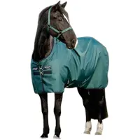Horseware Ripstop 900D Pony Turnout 100g Dynasty Groen/Marineblauw & Zilver 115
