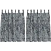 vidaXL Velvet Gordijnen 2 pcs Zilvergrijs 140 x 140 cm Fluweel