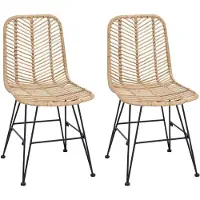 vidaXL Eetkamerstoel 2 pcs Riet en Ijzer Naturel 44,5 x 54,5 x 85 cm