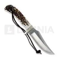 SCHRADE PH1N Fixed Blade