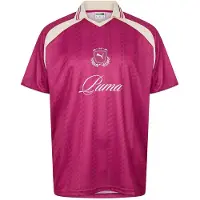Puma Heren Performance-shirt uit het archief (Magenta)