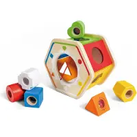 Hape Houten Wonder Vormensorteerder