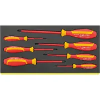 Stahlwille TCS 4665/4670 VDE Schroevendraaierset