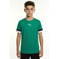 Puma Functioneel shirt 'TeamRise' smaragd / zwart / wit
