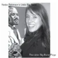 Cd The little big band plays