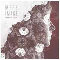Cd Mere Image
