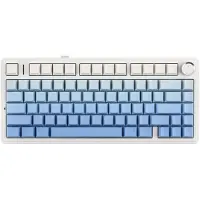 EPOMAKER F75 Blauw LEOBOG Reaper Switch RGB Draadloos Hotswap Mechanisch Gaming Toetsenbord