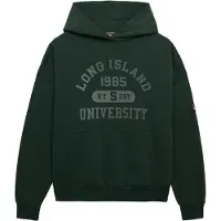 Superdry Sweatshirt grijs / groen