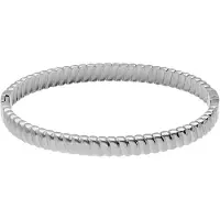 Lucardi - Dames Stainless steel bangle voor dames - Armband - Staal - Zilverkleurig