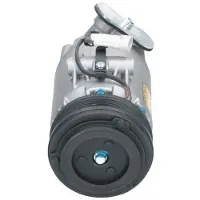 BV PSH 090.135.060.000 Aircopomp