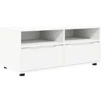 vidaXL TV Kast 100 x 48 x 43 cm Wit Bewerkt hout