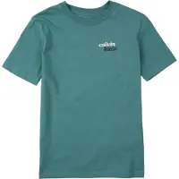 Calvin Klein T-shirt met backprint - groen Jongens/Meisjes Katoen Ronde hals - maat 140