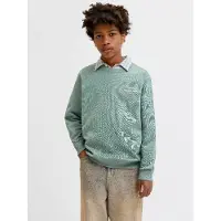 Jack & Jones Junior Sweatshirt mintgroen / wit