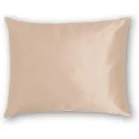 Silk Heaven Zijden Kussensloop Peach Blush - 19MM - - 60x60cm / Hotelsluiting