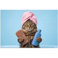 PosterMonkey Poster 60x40 cm - Kat - Handdoek - Washand - Zeep - Posters - Kamer decoratie - Wanddecoratie woonkamer - Muurdecoratie slaapkamer