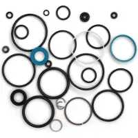 FOX Dhx2 21-22 Servicekit