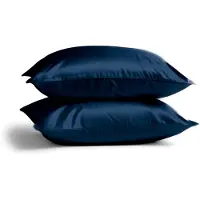 Silk Heaven 2x Zijden Kussensloop 80x80cm Blauw Ritssluiting 19 Momme - Kussensloop set - Luxe Silk Kussensloop 100% moerbei zijde - Zijde kussensloop - - 80x80cm / Ritssluiting