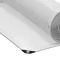 vidaXL Plantenhoes Doorzichtig 2,5 x 1 m PE