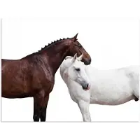 PosterMonkey Poster 160x120 cm - Paard - Modern - Balans - Posters - Kamer decoratie - Wanddecoratie woonkamer - Muurdecoratie slaapkamer XXL
