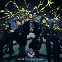 Import Frequency Photobook Version