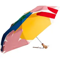 Original Duckhead Duckhead | Duurzame paraplu | Matisse-motief | Meerkleurig