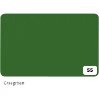 Folia Paper Fotokarton Folia 2-zijdig 50x70cm 300gr nr55 grasgroen | 10 stuks