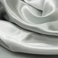 Silk Heaven 2x Zijden Kussensloop 50x60cm Maanlicht Ritssluiting 22 Momme - Kussensloop set - Luxe Silk Kussensloop 100% moerbei zijde - Zijde kussensloop - - 50x60cm / Ritssluiting