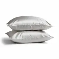 Silk Heaven 2x Zijden Kussensloop 50x60cm Maanlicht Hotelsluiting 22 Momme - Kussensloop set - Luxe Silk Kussensloop 100% moerbei zijde - Zijde kussensloop - - 50x60cm / Hotelsluiting