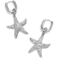 Yehwang Oorbellen met zeester Zilver