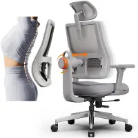 NEWTRAL Ergonomische Bureaustoe - Computer Stoel - MAGICH003 - Lendensteun - 3D Armleuningen - 2D Hoofdsteunen - Draagvermogen 150 kg- Gamestoel
