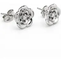 Trend Oorbellen - Zilverkleurig - roestvrij staal - verguld - Sieraden - Oren - Vrouwen- verjaardag cadeau - cadeau - Schattige Oorbellen