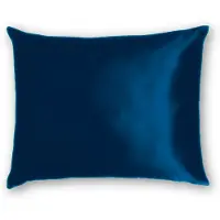 Silk Heaven Zijden kussensloop 50x60cm Blauw Ritssluiting 19 Momme - Kussensloop set - Luxe Silk Kussensloop 100% moerbei zijde - Zijde kussensloop - - 50x60cm / Ritssluiting