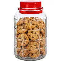 Alessandro XXL voedsel opslag container - glas - 8 liter - afsluitdop en hengsel - transparant/rood - Weckpotten - Opslagpotten - 20 x 34 cm