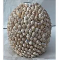 Light & Living - Vaas SHELL - Bruin - 33x33x37 cm