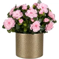 Mica Decorations Kunstplant - Azalea roze - H31 cm - in gouden bloempot - keramiek - complete set van pot en plant - decoratie stuk