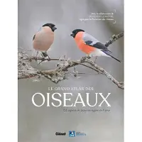 Glénat LE GRAND ATLAS DES OISEAUX 150 OISEAUX DES REGIONS DE FRANCE