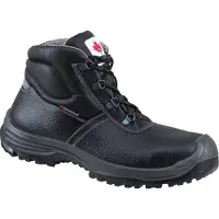 Canadian Line Alex 36357 Hoog + KN S3